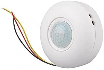 Arlo Motion Sensor for Lighting Ladder