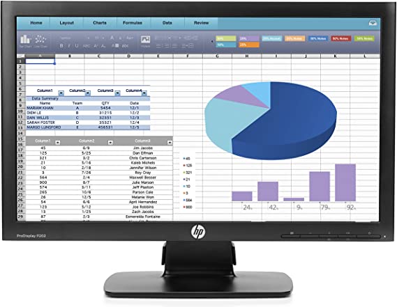 HP ProDisplay P202