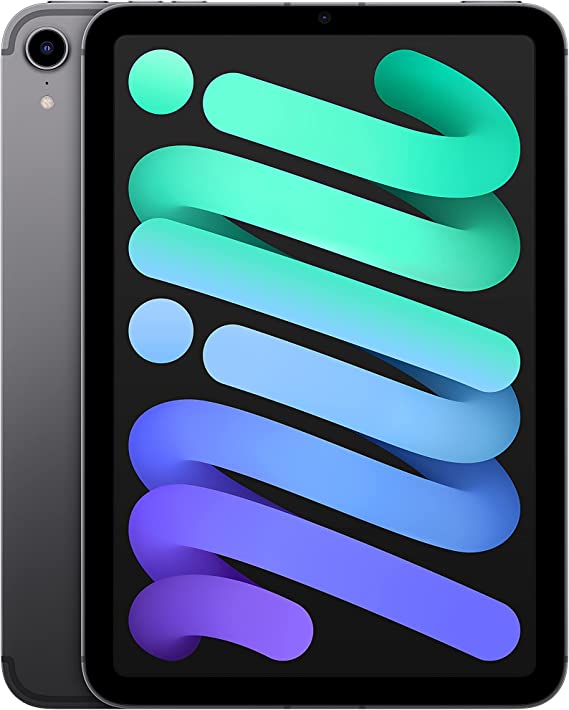 2021 Apple iPad Mini (Wi-Fi + Cellular, 256GB) - Space Gray