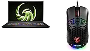 MSI Bravo 17 A4DDR Laptop, 17.3 Inch FHD, AMD Ryzen 7 4800-H, 1 TB HDD and 256 GB SSD, 16 GB RAM, AMD Radeon RX 5500M 4GB GDDR6 Graphics, Windows - Black with with Gaming Mouse