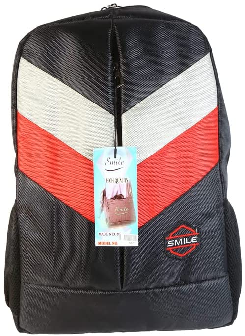 Laptop & MacBook & BackPack Travel Bag