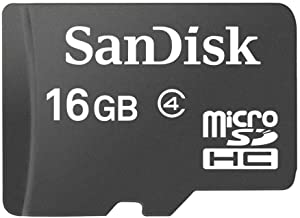 SanDisk 16 GB microSDHC Flash Memory Card (card only) SDSDQM-016G