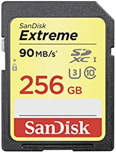 Sandisk 256GB ANCIN Extreme SD (SDSDXNF-256G-ANCIN)
