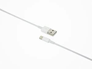 Premium USB Cable for iPhone 2.1a Fast Charger USB Data