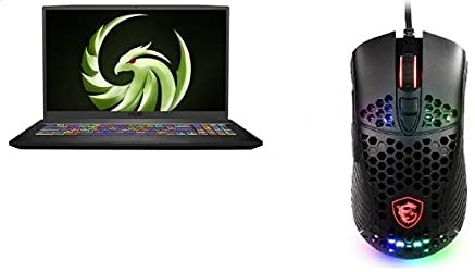 MSI Bravo 17 A4DDR Laptop, 17.3 Inch FHD, AMD Ryzen 7 4800-H, 1 TB HDD and 256 GB SSD, 16 GB RAM, AMD Radeon RX 5500M 4GB GDDR6 Graphics, Windows - Black with with Gaming Mouse