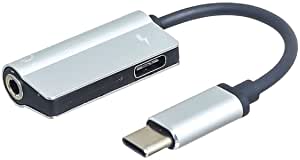 Type C 3.5mm Adapter Cable - Silver