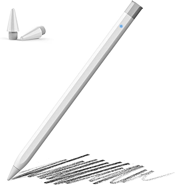 Ciscle Stylus Pencil with Tilt & Palm Rejection, Compatible with Apple iPad(2018-2021) 9/8/7/6th, Pro 11, Pro 12.9 5/4/3rd, Air 4/3rd, mini 6/5th Generation, Magnetic Attach Pen for Writing/Drawing
