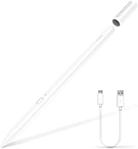 RENAISSER 2021 Stylus Pen for iPad, USB C Charging, Made in Taiwan, Magnetic Attachment, Palm Rejection,Compatible with Apple iPad Pro 2020/2021(11”/12.9”),iPad 7th/8th,iPad Mini 5th,iPad Air 3rd/4th