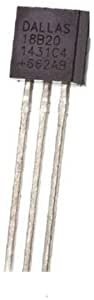 DS 18B20 Temperature Sensor